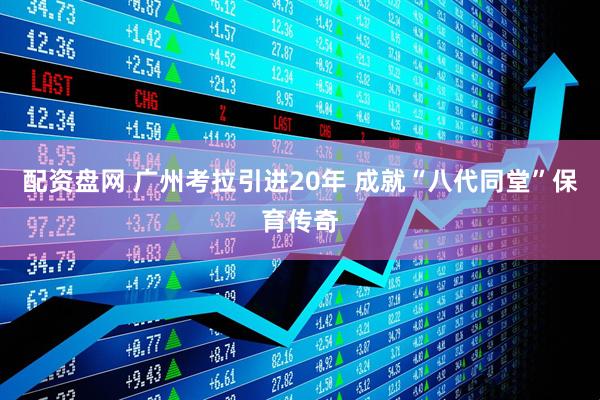 配资盘网 广州考拉引进20年 成就“八代同堂”保育传奇